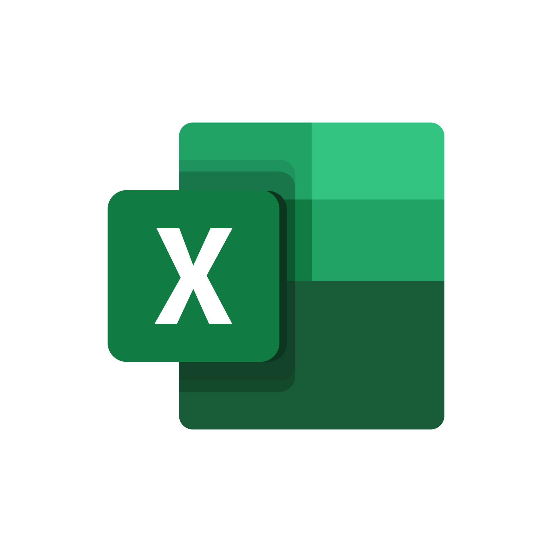 Microsoft Excel